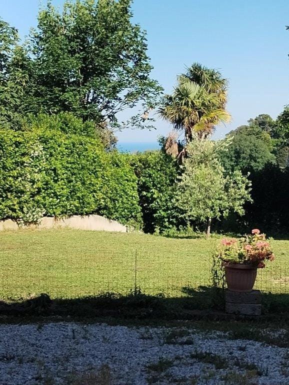 Il giardino recintato con la palma e uno scorcio di mare