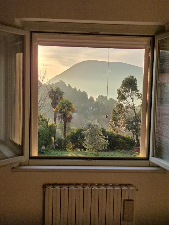 Il Monte Conero e le palme del giardino visti dalla finestra